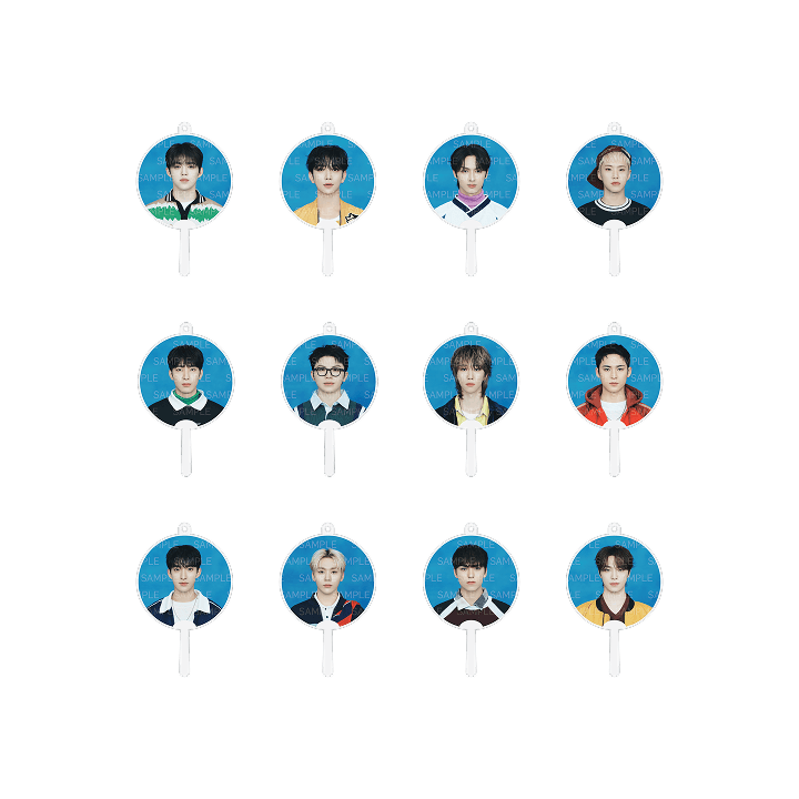 SEVENTEEN] 2025 SVT 9th Fanmeeting : Seventeen In Carat Land
