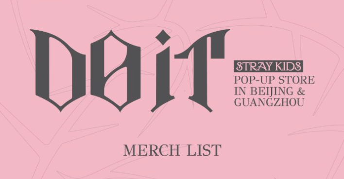 Stray Kids DO IT 中国 中華 POPUP タンブラー リノ STRAY KIDS] Do It : Pop Up Store MD (China Exclusive) – krmerch