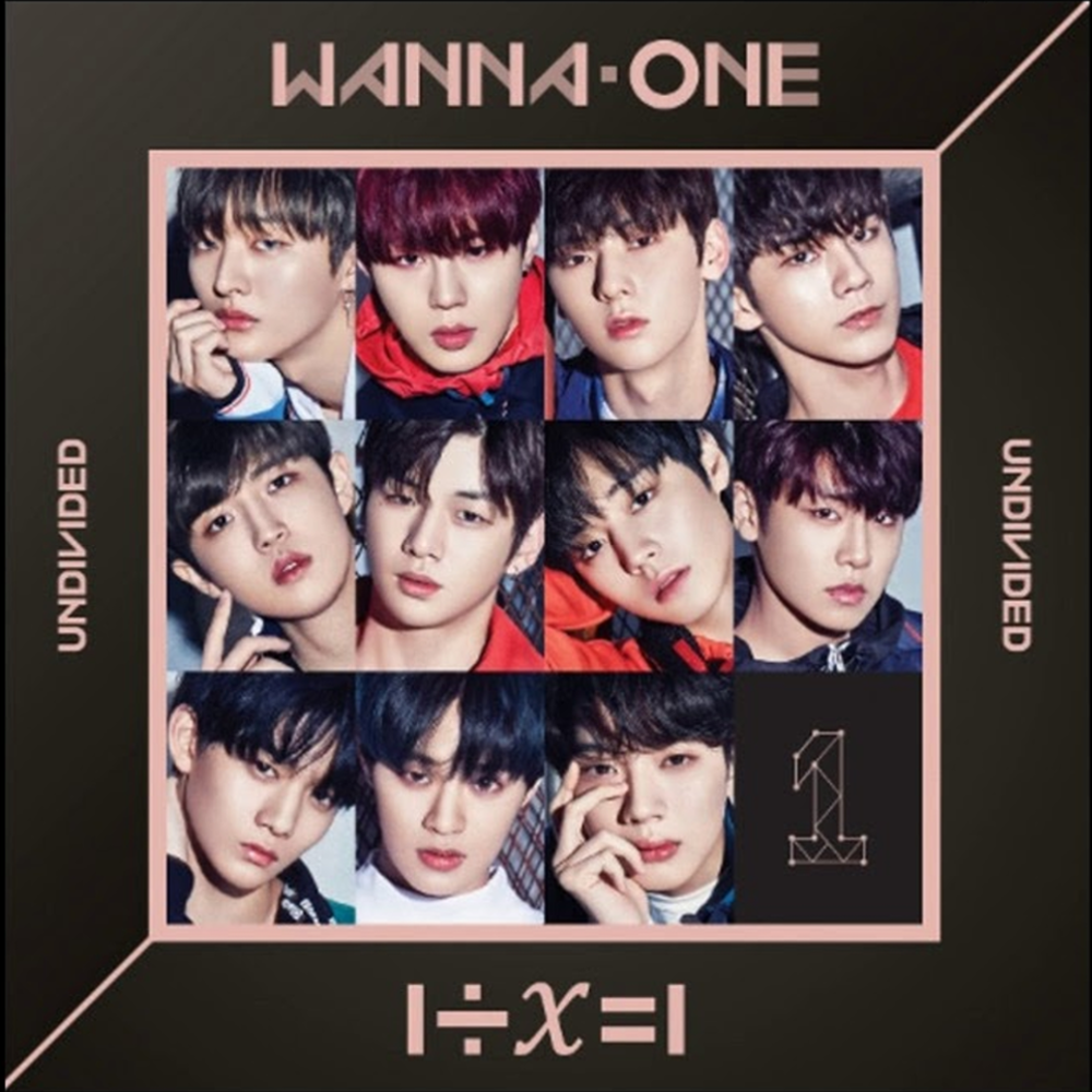 WANNA ONE] 1÷χ=1 : Undivided – krmerch