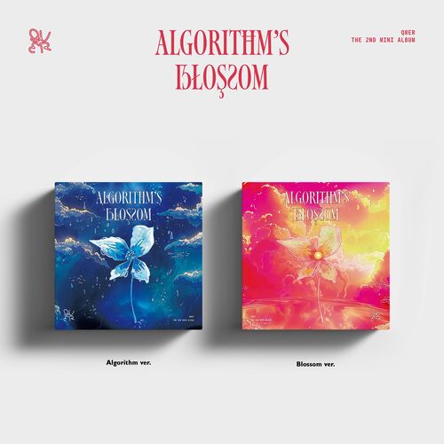[QWER] Algorithm's Blossom