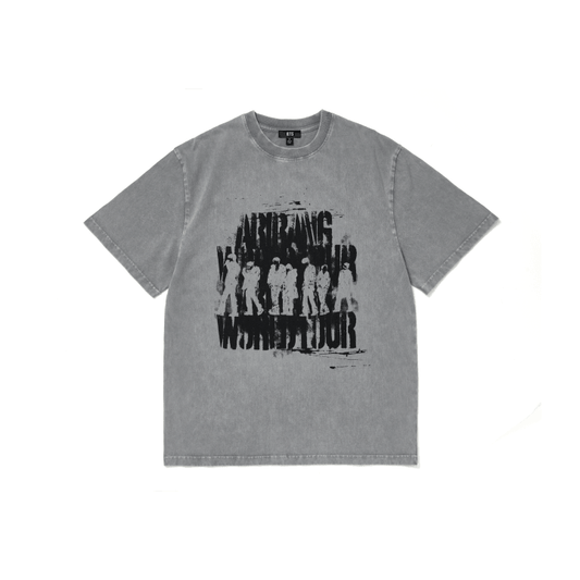 [BTS] Arirang : S/S Photo T-Shirt (Gray)