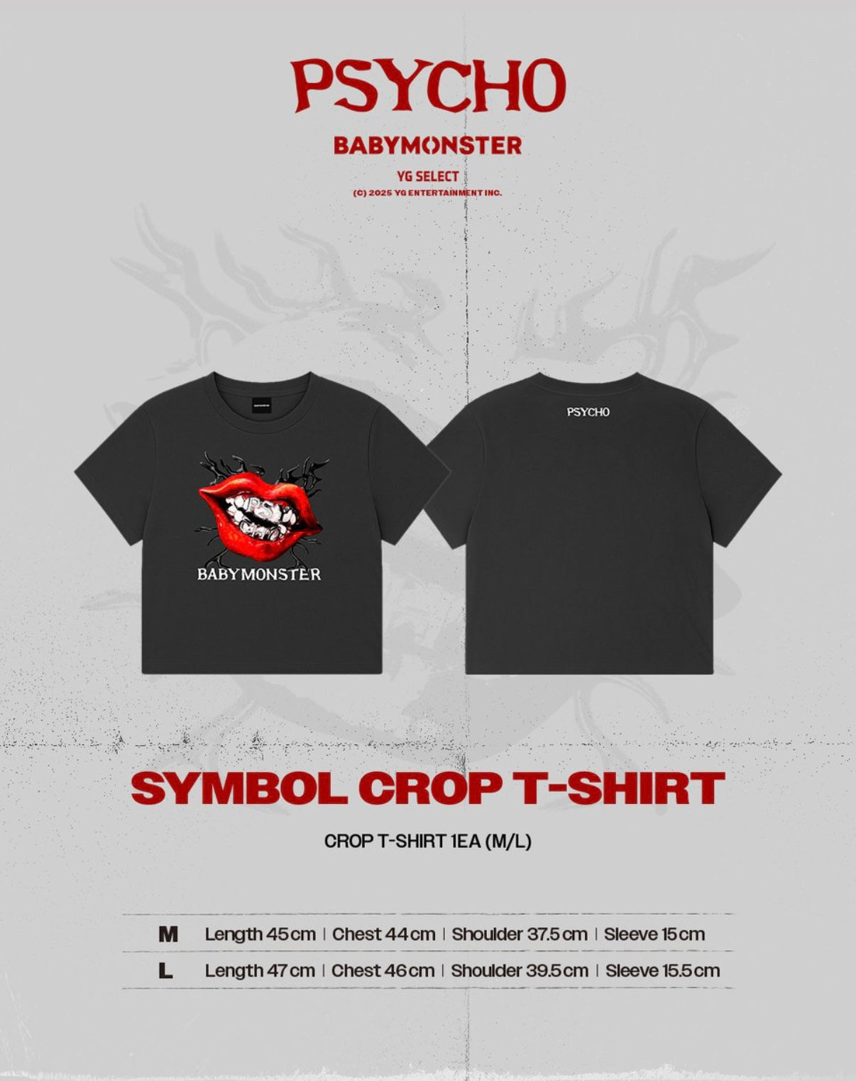 [BABYMONSTER] We Go Up : Psycho : MD
