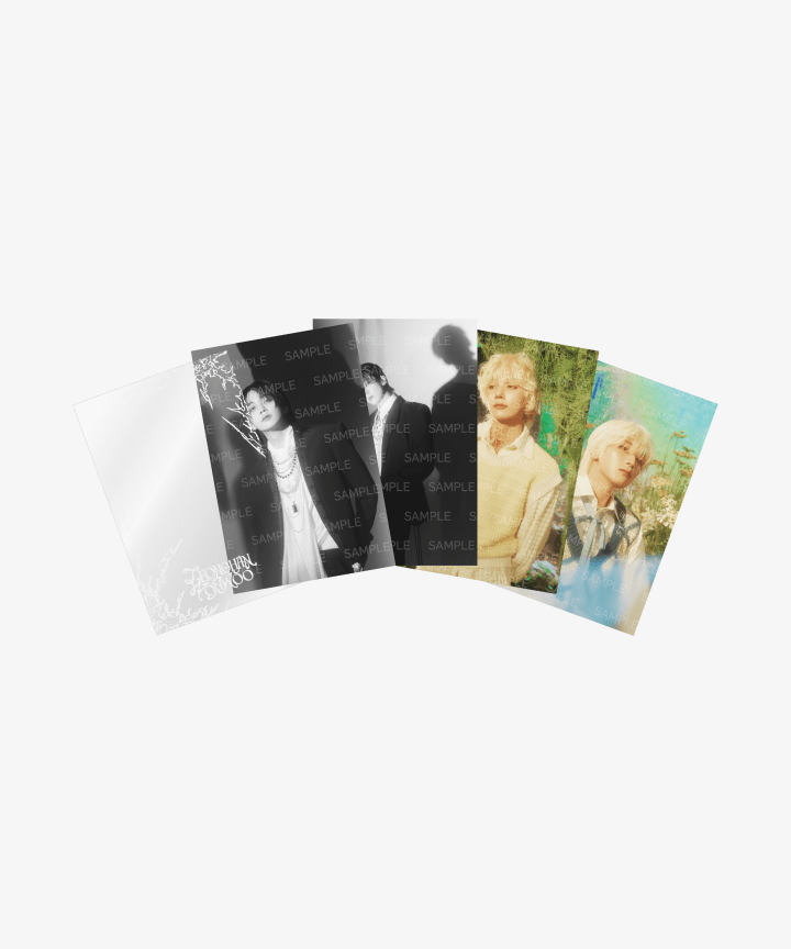 [SEVENTEEN] Jeonghan & Wonwoo : This Man : Postcard Set