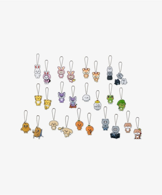 [SEVENTEEN] Miniteen : Lucky Draw (Acrylic Keyring)