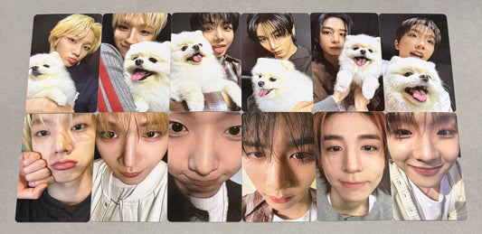 [LUCKY DRAW EVENT] [BOYNEXTDOOR] Home : Weverse POB Photocard