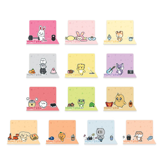 [SEVENTEEN] Miniteen : Acrylic Remote VController