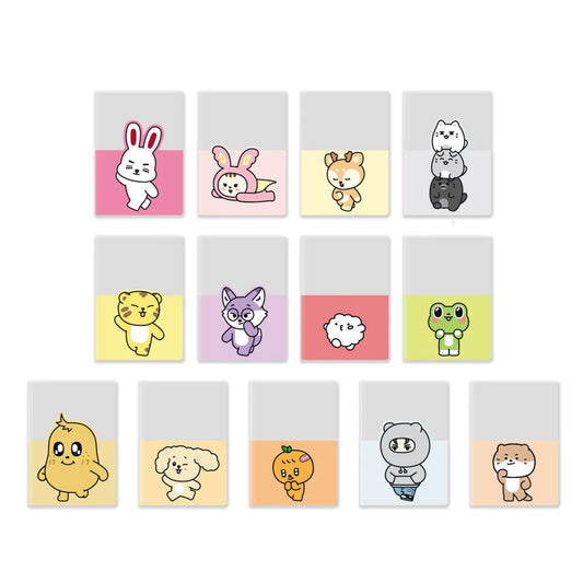 [SEVENTEEN] Miniteen : Passport Case