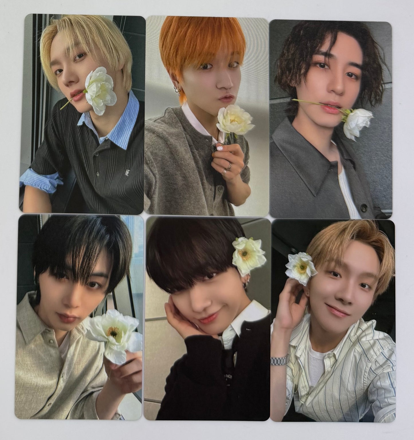 [LUCKY DRAW EVENT] [BOYNEXTDOOR] The Action : Weverse POB Photocard