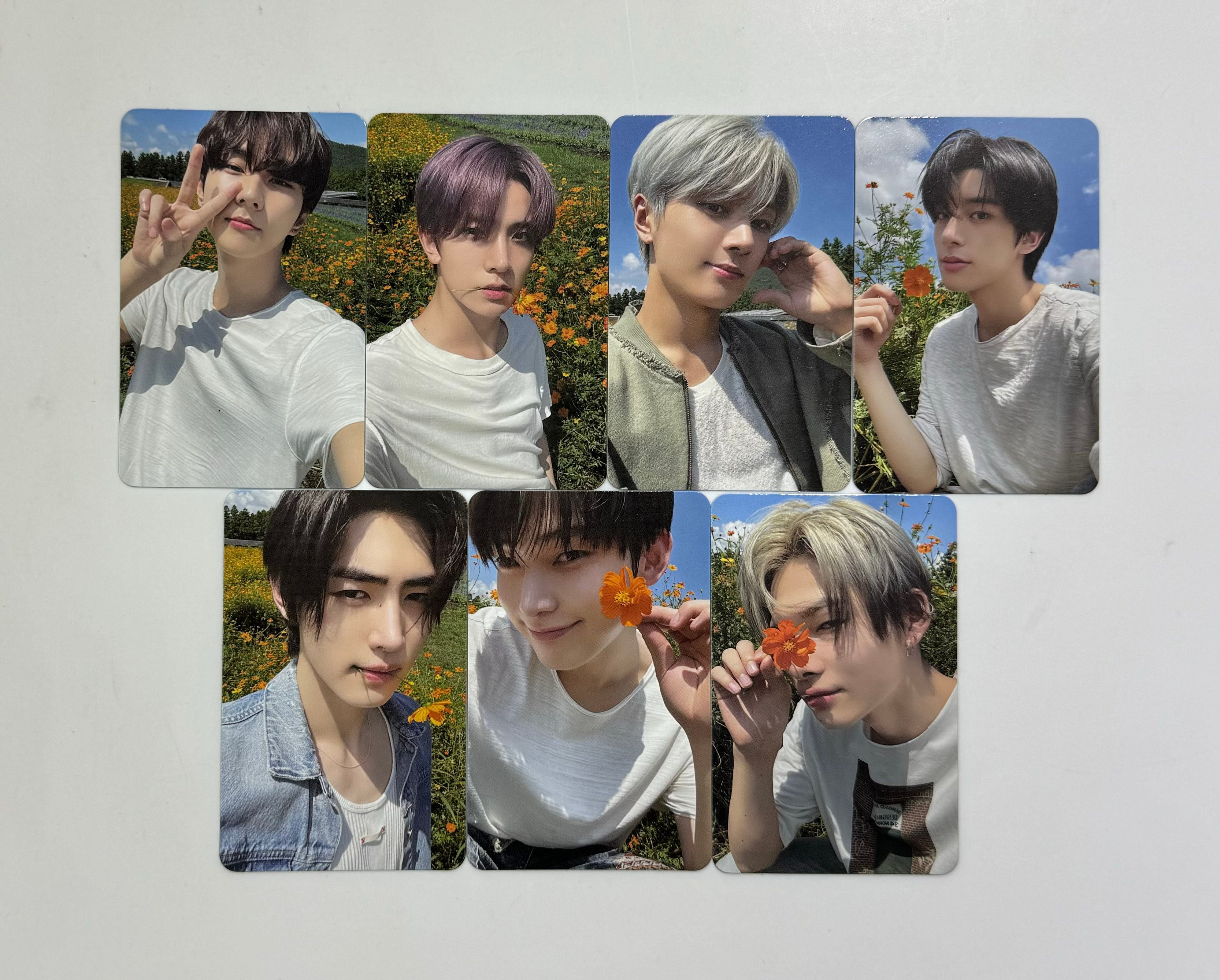 [ENHYPEN] Orange Blood : POB Photocard – krmerch