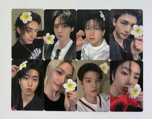 [LUCKY DRAW EVENT] [STRAY KIDS] Karma : Everline POB Photocard