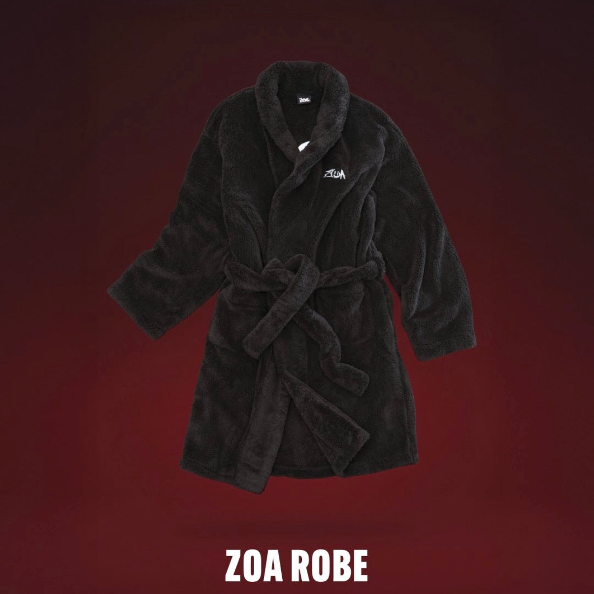 [BIGBANG] GDRAGON : ZOAful Winter MD