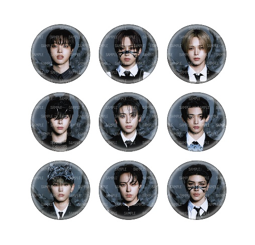 [&TEAM] Go In Blind : Photo Can Badge