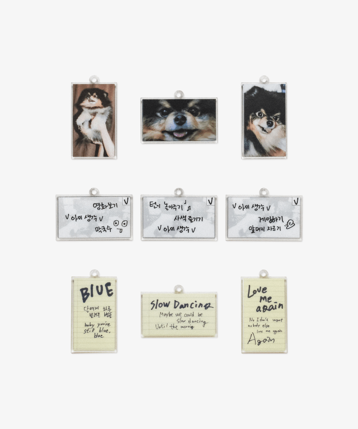 [BTS] V : Layover : Keyring Set