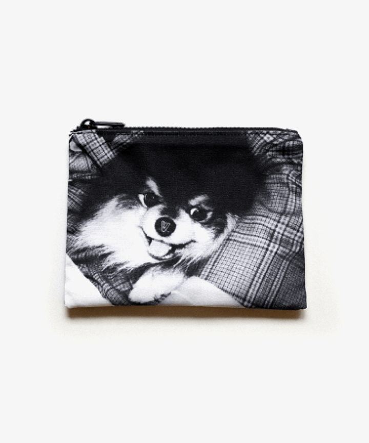 [BTS] V : Layover : Reversible Pouch