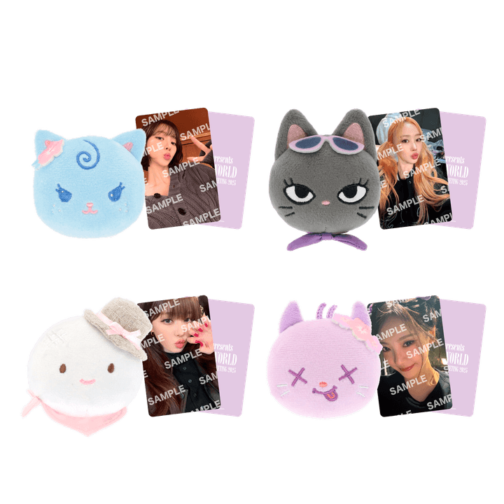 [AESPA] 2025 Japan Fanmeeting : To My World : Character Clip