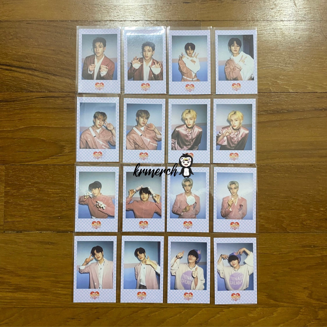 [STRAY KIDS] 2nd #LoveSTAY 'SKZ'S Chocolate Factory' : SKZOO Polaroid Photocard