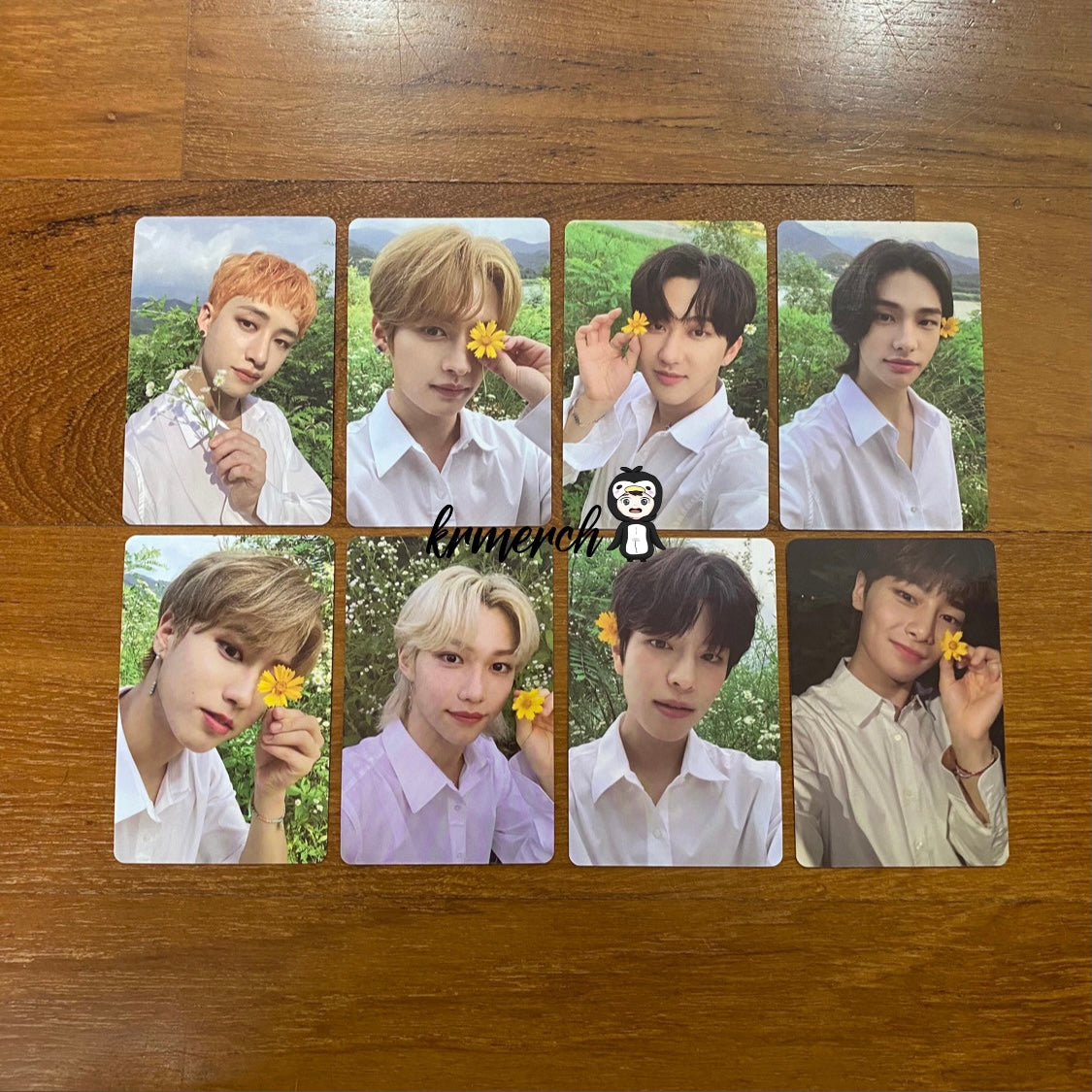 [STRAY KIDS] NOEASY : Limited Edition POB Photocard