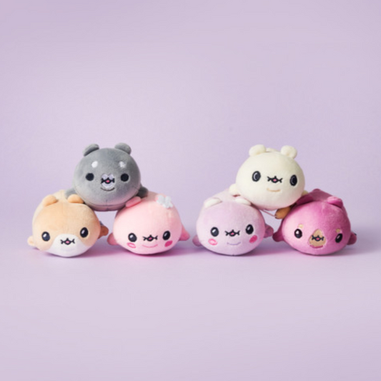 [MONSTA X] Twotuckgom x Monsta X : Tutu Bear Stress Ball