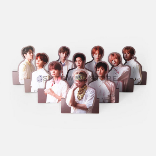 [NCT] Regular-Irregular : Hologram Photocard + Standee set