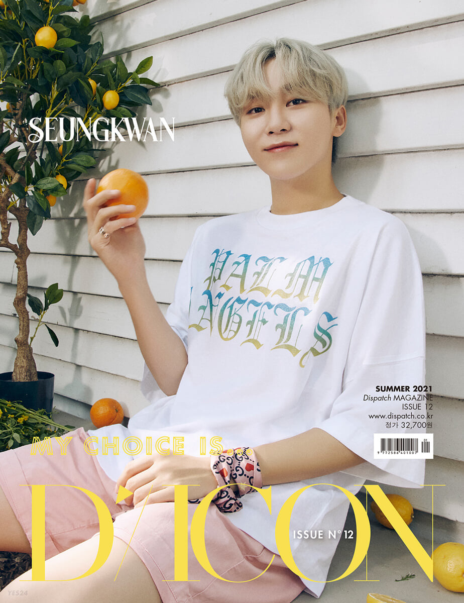 [SEVENTEEN] D-ICON : My Choice Is Seventeen