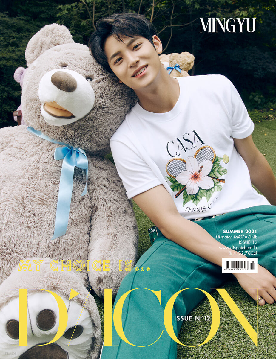 [SEVENTEEN] D-ICON : My Choice Is Seventeen