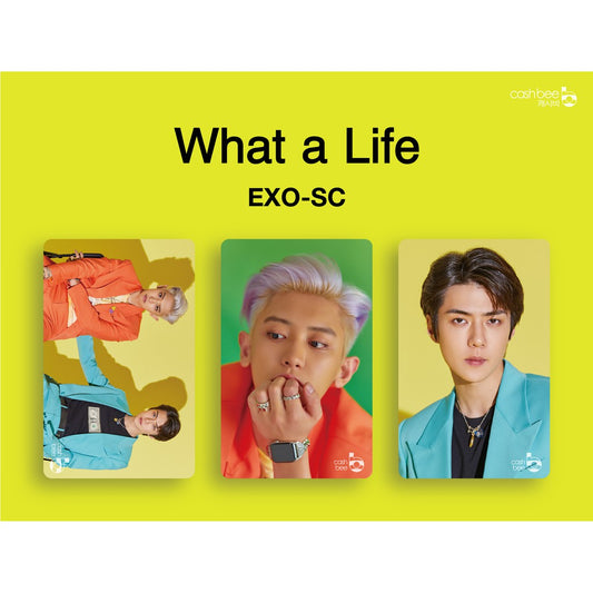 [EXO] EXO-SC : What A Life : Pop Card TMoney Cashbee