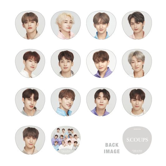 [SEVENTEEN] World Tour : Ode To You In Japan : Fan / Image Picket